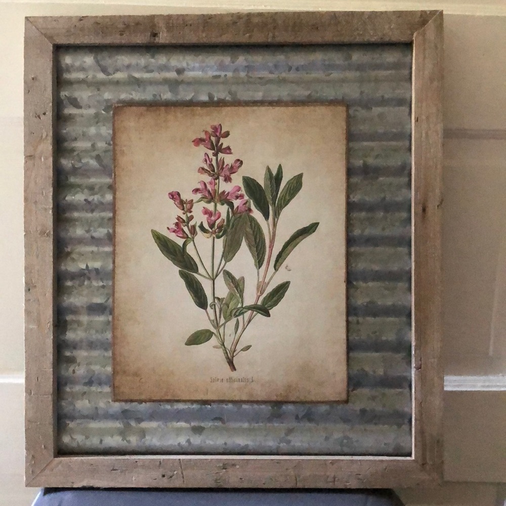 Botanical Print